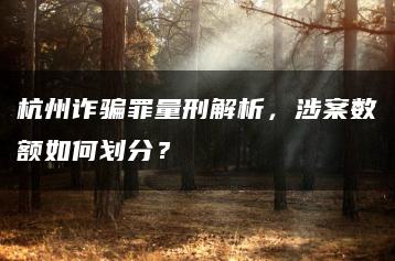 杭州詐騙罪量刑解析，涉案數額如何劃分？